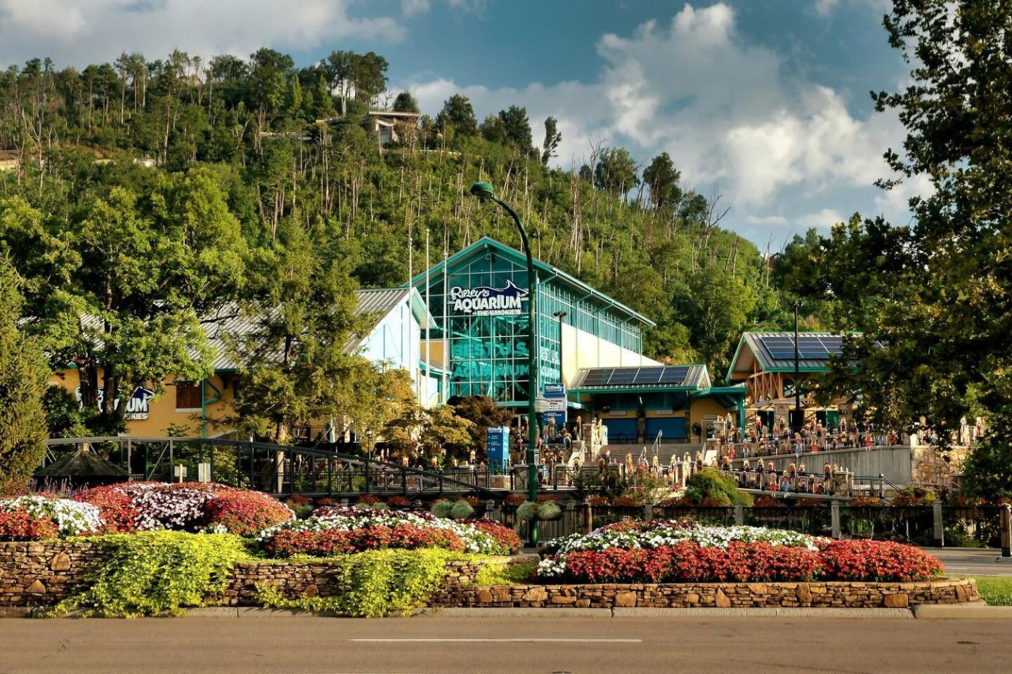 Views I Mins To Dollywood I Hot Tub I Pool Table Sevierville Exterior foto
