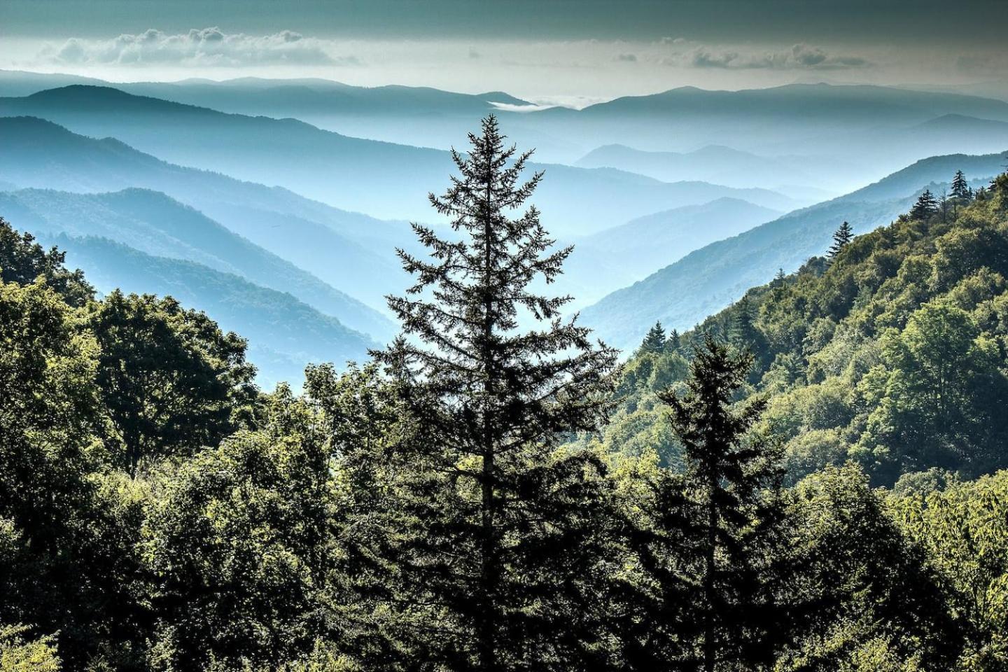 Views I Mins To Dollywood I Hot Tub I Pool Table Sevierville Exterior foto